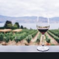 Exploring the Cultural Influences on Winemaking in New Jersey