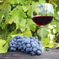 Exploring the Wine Trails of New Jersey
