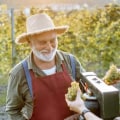 Exploring the Most Popular Wine Tourism in New Jersey