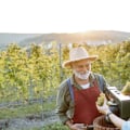 Exploring the World of Wine Tourism