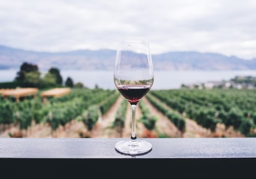 Exploring the Cultural Influences on Winemaking in New Jersey