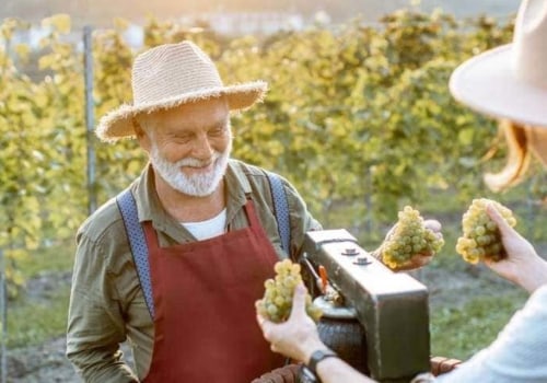 Exploring the Most Popular Wine Tourism in New Jersey