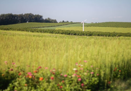 Exploring the Wine Industry in New Jersey: How Proximity to Major Cities Impacts the Garden State