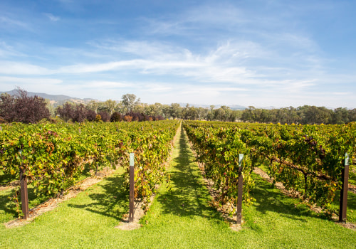 Exploring the Captivating Wine Scene of New Jersey