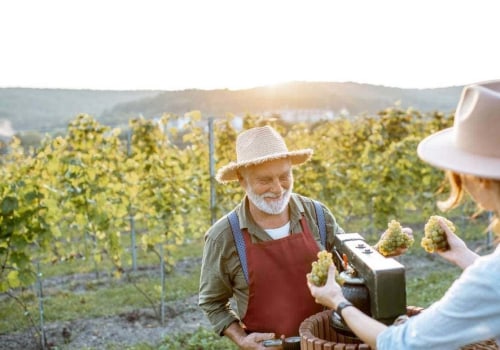 Exploring the World of Wine Tourism